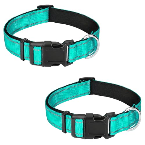 PWOD Reflektierendes Hundehalsband, verstellbar, weiches Neopren, gepolstert, Nylon, mit Schnalle, für Welpen und kleine Hunde, Katzen, Blaugrün, Größe XS, 2 Stück von PWOD