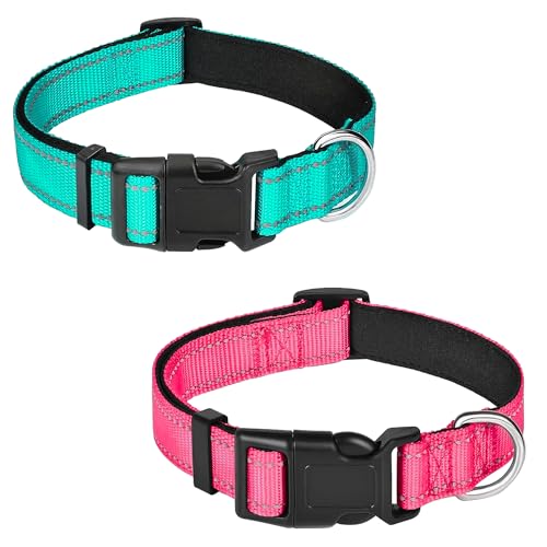 PWOD Reflektierendes Hundehalsband, verstellbar, weiches Neopren, gepolstert, Nylon, mit Schnalle, für Welpen und kleine Hunde, Katzen, Blaugrün/Hotpink, Größe XS, 2 Stück von PWOD