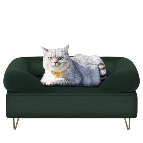 Hundesofa für kleine Haustiere/Hundebetten mit weichem Samtstoff/Hundesofas und Stühle/Holzrahmen, Katzenbett, Haustier-Sofa mit bequemem, waschbarem Kissen für mittelgroße Hunde, Smaragd von PWTJ