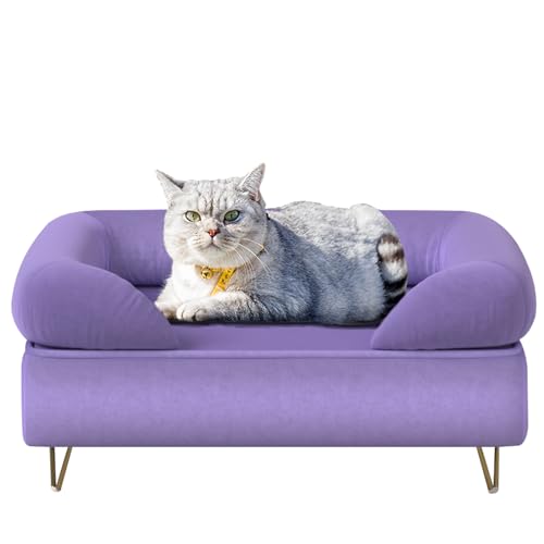 Hundesofa für kleine Haustiere/Hundebetten mit weichem Samtstoff/Hundesofas und Stühle/Holzrahmen, Katzenbett, Haustier-Sofa mit bequemem, waschbarem Kissen für mittelgroße Hunde, Violett von PWTJ