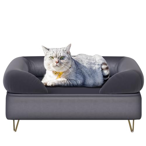 Hundesofa für kleine Haustiere/Hundebetten mit weichem Samtstoff/Hundesofas und Stühle/Holzrahmen, Katzenbett, Haustier-Sofa mit bequemem, waschbarem Kissen für mittelgroße Hunde (Grau) von PWTJ