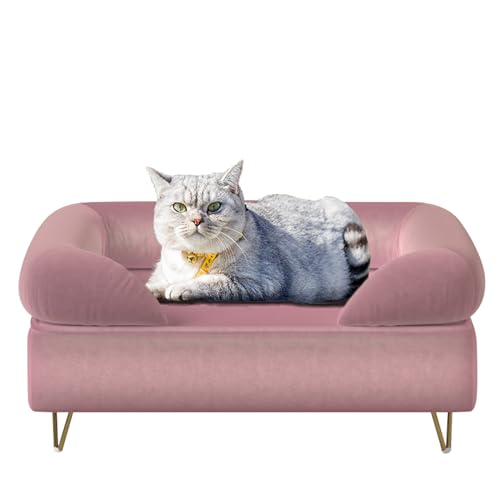 Hundesofa für kleine Haustiere/Hundebetten mit weichem Samtstoff/Hundesofas und Stühle/Holzrahmen Katzenbett/Haustiersofa mit bequemem, waschbarem Umgebungskissen für mittelgroße Hunderuhe (Rosa) von PWTJ