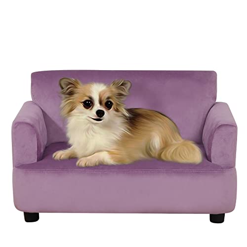 PWTJ Sofas und Stühle für Hunde/Hundebett mit stabilem Holzrahmen/glattes Samt-Katzenbett/klassisches Design, gepolstertes Haustiersofa/langlebiges Katzensofa für kleine Tiere (lila) von PWTJ