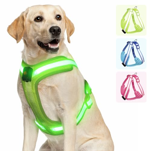PZRLit Hundegeschirr Leuchtend, Leuchtgeschirr für Hunde Aufladbar, Leuchtendes Hundegeschirr LED, Leucht Geschirr für Hunde Reflektierend mit Licht Sicherheit im Dunkeln-Grün, Extra Groß von PZRLit