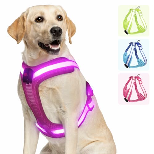 PZRLit Hundegeschirr Leuchtend, Leuchtgeschirr für Hunde Aufladbar, Leuchtendes Hundegeschirr LED, Leucht Geschirr für Hunde Reflektierend mit Licht Sicherheit im Dunkeln-Rosa, Extra Groß von PZRLit