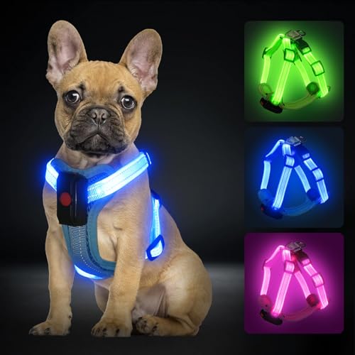 PZRLit Hundegeschirr Leuchtend Aufladbar für kleine Hunde, Leuchtgeschirr für XS Hunde, Reflektierend LED Geschirr für Welpen für sicheres Gehen in der Nacht-Blau von PZRLit