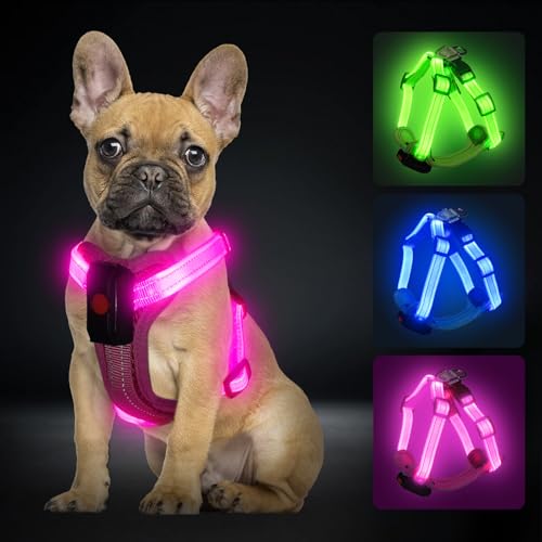 PZRLit Hundegeschirr Leuchtend Aufladbar für kleine Hunde, Leuchtgeschirr für XS Hunde, Reflektierend LED Geschirr für Welpen für sicheres Gehen in der Nacht-Rosa von PZRLit