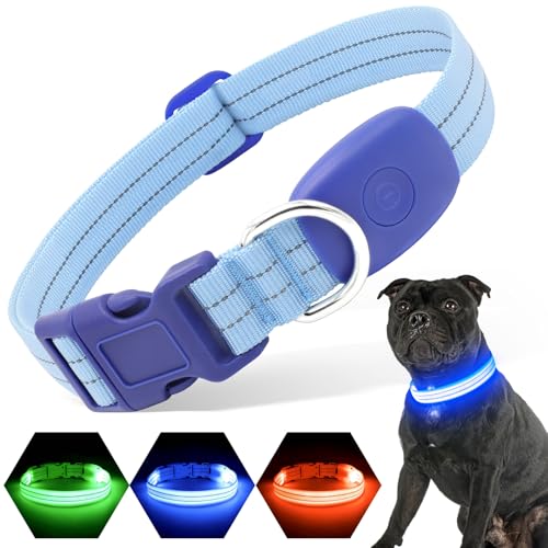 PZRLit Leuchthalsband Hund Aufladbar, Hundehalsband Leuchtend für Klein Mittel große Hunde, Einstellbar LED Halsband für Hunde für Nacht Sicherheit (Blau, Klein) von PZRLit