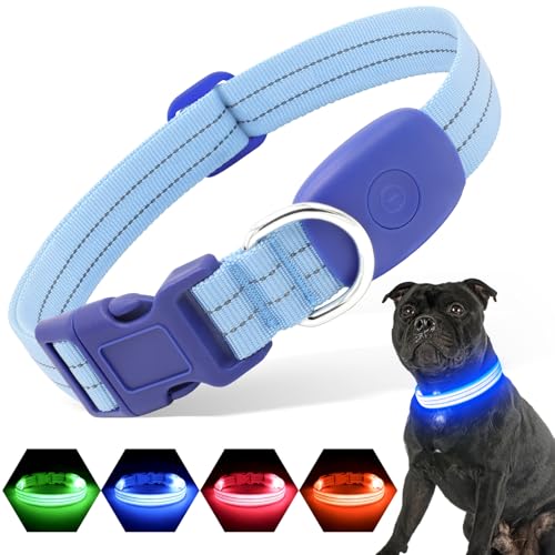 PZRLit Leuchthalsband Hund Aufladbar, Hundehalsband Leuchtend für Klein Mittel große Hunde, Einstellbar LED Halsband für Hunde für Nacht Sicherheit (Blau, Mittel) von PZRLit