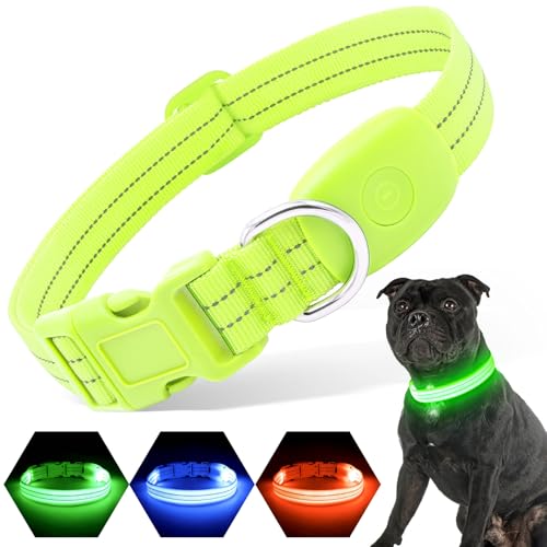 PZRLit Leuchthalsband Hund Aufladbar, Hundehalsband Leuchtend für Klein Mittel große Hunde, Einstellbar LED Halsband für Hunde für Nacht Sicherheit (Grün, Klein) von PZRLit