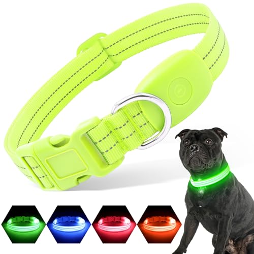 PZRLit Leuchthalsband Hund Aufladbar, Hundehalsband Leuchtend für Klein Mittel große Hunde, Einstellbar LED Halsband für Hunde für Nacht Sicherheit (Grün, Klein) von PZRLit