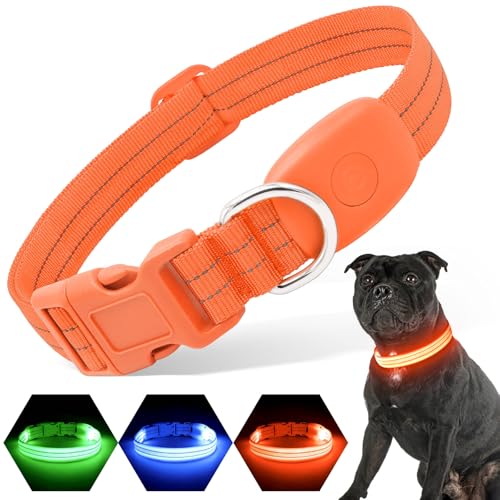 PZRLit Leuchthalsband Hund Aufladbar, Hundehalsband Leuchtend für Klein Mittel große Hunde, Einstellbar LED Halsband für Hunde für Nacht Sicherheit (Orange, Groß) von PZRLit