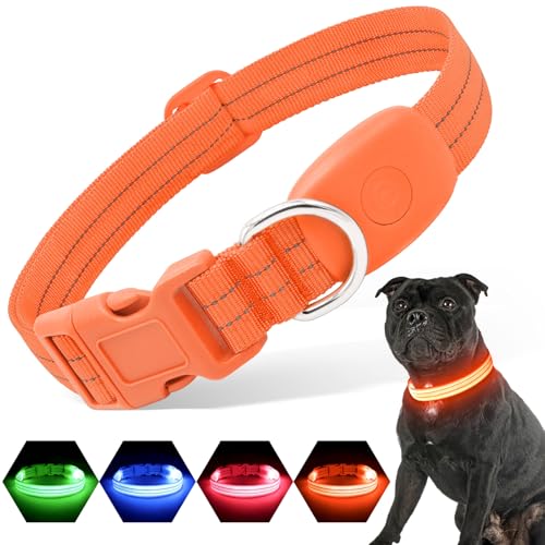 PZRLit Leuchthalsband Hund Aufladbar, Hundehalsband Leuchtend für Klein Mittel große Hunde, Einstellbar LED Halsband für Hunde für Nacht Sicherheit (Orange, Groß) von PZRLit