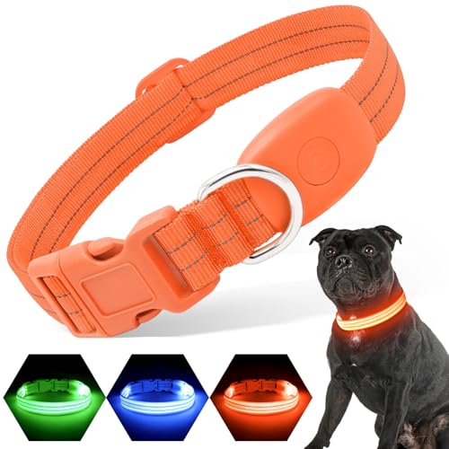 PZRLit Hundehalsband Leuchtend USB Aufladbar (Rosa, Klein) von PZRLit