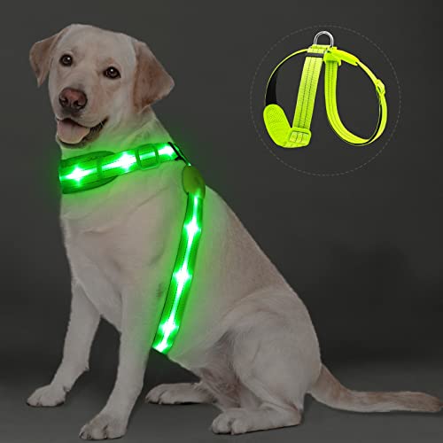 PZRLit LED Hundegeschirr Leuchtend für Hunde, Leuchtgeschirr Hundeweste Wiederaufladbar, Weich Gepolstert, Verstellbar und Reflektierend, Beleuchtetes Hundegeschirr (Grün) von PZRLit