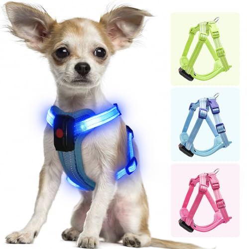 PZRLit Leuchtendes Hundegeschirr für kleine Hunde, wiederaufladbar, LED-Hundegeschirr, verstellbar, beleuchtet, leuchtet im Dunkeln, Hundegeschirr für Welpen, Nachtsicherheit, Spazierengehen, 360° von PZRLit