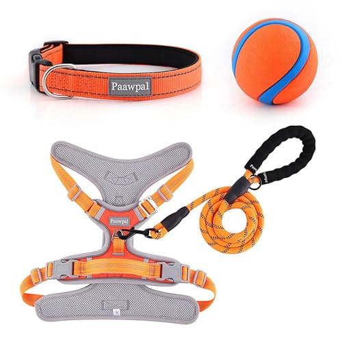 Paawpal Verstellbares Hundegeschirr, kein Ziehen, reflektierend, weich gepolstert für kleine, mittelgroße und große Hunde, inklusive Leine und Halsband, Orange, XL von Paawpal