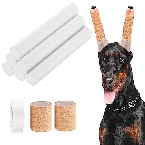 Pacify Dobermann Dog Ear Posting Kit, Dog Ear Stand Up Support Tool with Tape Doberman Pinscher Dogs von Pacify