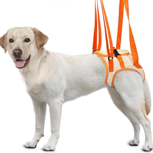 Pacify Hundehebegeschirr, Hundeschlinge für große Hunde Hinterbeinstütze M/L/XL, Hundestützgeschirr für Rückenbein Hinterbeine und halten das Gelenk stabil Rehabilitation (XL) von Pacify