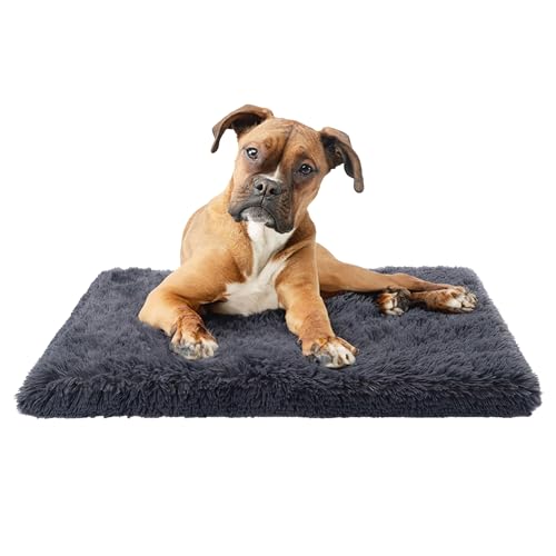 Paco Home Hundebett Katzenbett Flauschig Hundekissen Donut Hundedecke Hund Katze Hundekörbchen Katzenkorb Waschbar, Farbe:Anthrazit, Größe:50x80 cm von Paco Home