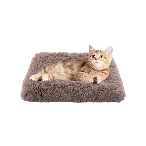 Paco Home Hundebett Katzenbett Flauschig Hundekissen Donut Hundedecke Hund Katze Hundekörbchen Katzenkorb Waschbar, Farbe:Beige, Größe:30x40 cm von Paco Home