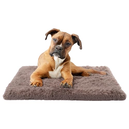 Paco Home Hundebett Katzenbett Flauschig Hundekissen Donut Hundedecke Hund Katze Hundekörbchen Katzenkorb Waschbar, Farbe:Beige, Größe:50x80 cm von Paco Home