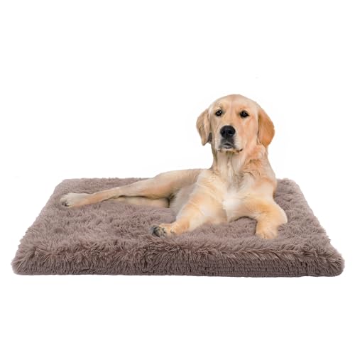 Paco Home Hundebett Katzenbett Flauschig Hundekissen Donut Hundedecke Hund Katze Hundekörbchen Katzenkorb Waschbar, Farbe:Beige, Größe:60x100 cm von Paco Home