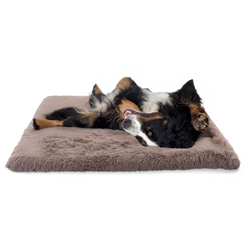 Paco Home Hundebett Katzenbett Flauschig Hundekissen Donut Hundedecke Hund Katze Hundekörbchen Katzenkorb Waschbar, Farbe:Beige, Größe:80x120 cm von Paco Home