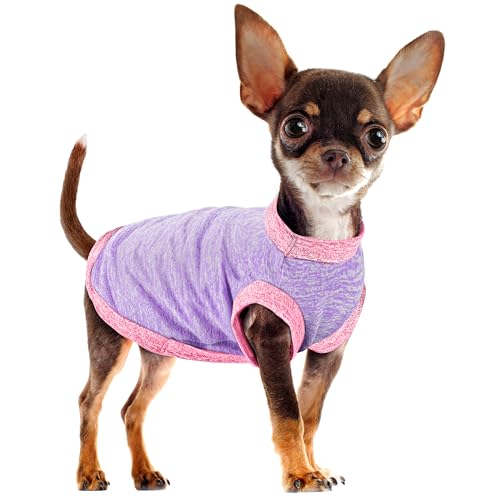 Paiaite Chic Ion Hundeweste aus Polyester, bezaubernd, modische Hundebekleidung für kleine, mittelgroße und große Rassen, feuchtigkeitsableitend, weich, antistatisch, langlebig und leicht zu reinigen, von Paiaite