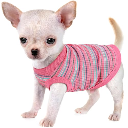 Erhöhen Sie den Komfort und die Mode Ihres Haustieres: Hochwertige gerippte Hundeweste aus 100 % Baumwolle für kleine Rassen wie Chihuahuas, Yorkies und Welpen. Ganzjahresstil mit Tank-Stil, Größe XL, von Paiaite