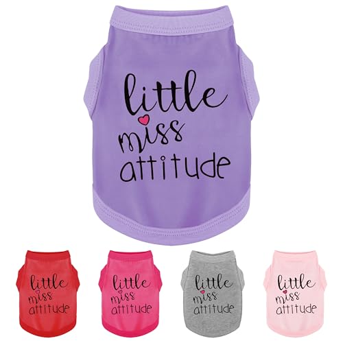 Hundekleidung mit persönlicher Figur: weiche, leichte Hundekleidung mit dem auffälligen "Little Miss Attitude"-Slogan-Druck, perfekt für kleine und mittelgroße Hunde, Lila, Größe XL von Paiaite