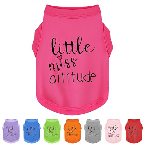 Hundekleidung mit persönlicher Figur: weiche, leichte Hundekleidung mit dem auffälligen "Little Miss Attitude"-Slogan-Druck, perfekt für kleine und mittelgroße Hunde, Rosenrot, Größe 3XL von Paiaite