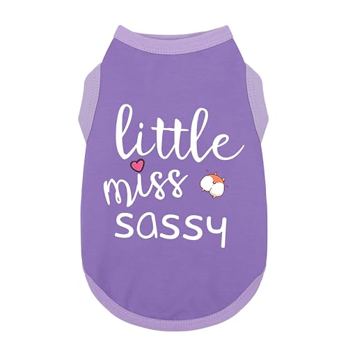 Paiaite Hundebekleidung, modisch, ärmellos, mit Aufdruck "Little Miss Sassy", Baumwolle, ideal für kleine, mittelgroße und große Rassen, sorgt für Komfort und Atmungsaktivität, Lila, Größe XXL von Paiaite