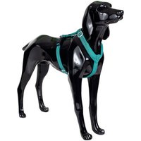 Paikka Easy Harness emerald grün/ türkis XS von Paikka