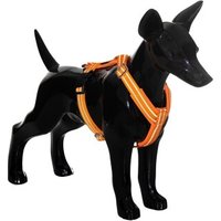 Paikka Easy Harness orange orange M von Paikka