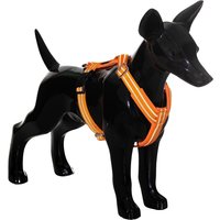 Paikka Easy Harness orange orange XXS von Paikka