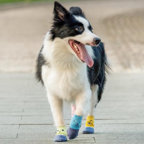 Paipeper 4 Paar rutschfeste Hundesocken, verhindert Lecken, Pfotenschutz, Traktionskontrolle für den Innenbereich, für kleine und mittelgroße Hunde (blau + gelb-xs) von Paipeper