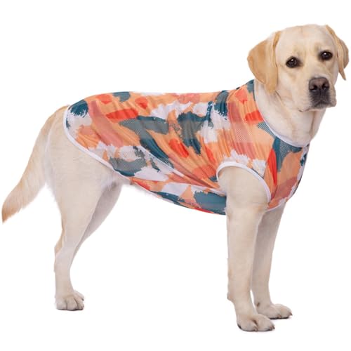 Paipeper Kühlendes Netzhemd für Hunde, schnell trocknend, atmungsaktiv, für den Sommer, leicht für mittelgroße und große Hunde, weiche und kühle Kleidung für Jungen und Mädchen, Orange Weste, Größe von Paipeper
