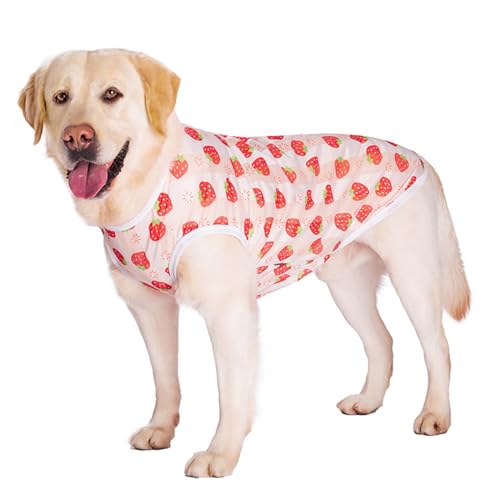 Paipeper Kühlende Hunde-Shirts, Sommer, schnell trocknend, atmungsaktiv, Netzweste für mittelgroße und große Hunde, leicht, weich, ärmellos, Erdbeere, Größe 3XL von Paipeper