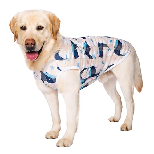 Paipeper Schnell trocknendes, atmungsaktives Netzhemd, kühlende Hundeweste für mittelgroße und große Hunde, leichte, ärmellose Sommerkleidung (Wal - 2XL) von Paipeper