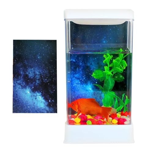 Palaufr Kampffisch Aquarium - Komplettes Aquarium-Set Mit Beleuchtung & Filter - Wohnaccessoires, Deko-Aquarium Für Wohnzimmer, Büro & Wohnung Palaufr Kampffisch Aquarium - Komplettes Aquarium-Set Mit Beleuchtung & Filter - Wohnaccessoires, Deko-Aquarium Für Wohnzimmer, Büro & Wohnung von Palaufr