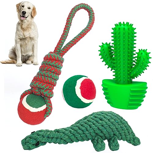 PAMLULU 4-in-1-Hundespielzeug-Set, bestehend aus 1 x Kaktus-Kauspielzeug, 1 x Fußball, 1 x Hundespielzeug, 1 x Plüsch-Dinosaurier-Spielzeug für mittelgroße Hunde von Pamlulu