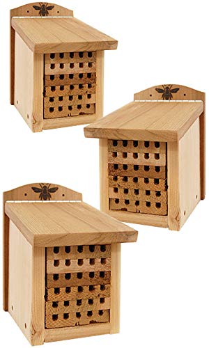 Panacea Products Woodlink Robuste Zedern-Maurer-Bienenhäuser, klein, 3 Stück von Panacea
