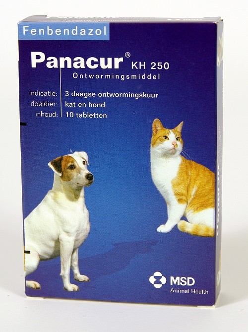 Panacur 250 Entwurmungsmittel für Hund und Katze 10 Tabletten von Panacur