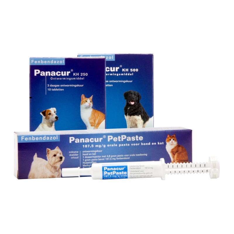 Panacur KH 250 - Tabletten - 10 Tabletten von Panacur