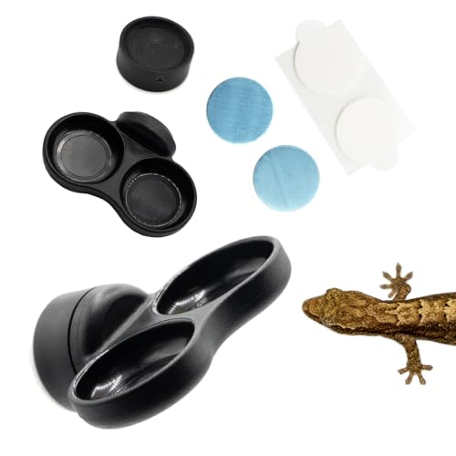 Pangea Microdish Ast- und Oberflächenmontage-Kit für Gecko-Fütterung, kleine Doppelschale für Mikro-Geckos, Trauergeckos, Anolen, und andere kleine Reptilien, Magnetschale 3,2 x 3,2 cm (XS Dual von Pangea