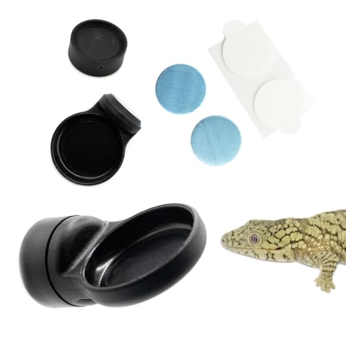 Pangea Microdish Kit für Mikro-Gecko-Fütterung, Mini-Wassernapf für winzige Reptilien und andere kleine Haustiere, magnetische Befestigungspunkte im Lieferumfang enthalten, 3,8 x 1,9 cm von Pangea