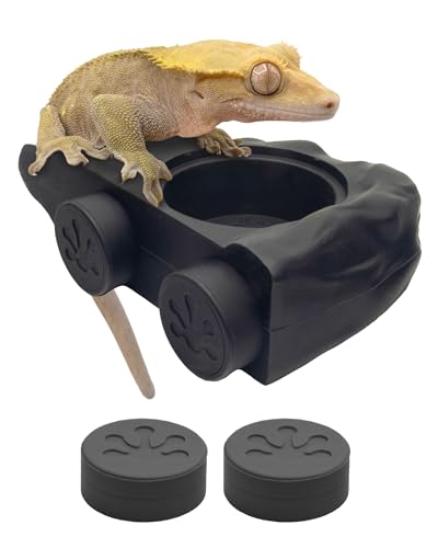 Pangea Silikon-Gecko-Fütterleiste – magnetischer Mini-Futternapf für Reptilienbecken – 10,5 x 6,7 x 3 cm – passend für 14,2 g Becher (schwarz) von Pangea