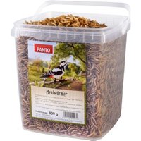 Panto MEHLWÜRMER 900g von Panto