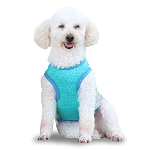 Paodduk Kühljacke für Hunde, Kühlshirt für Hunde - Reflektierende Haustierweste für den Sommer,Kühlere Hundeweste, atmungsaktives Hundeshirt für Spaziergänge mit dem Hund, Outdoor-Camping und von Paodduk